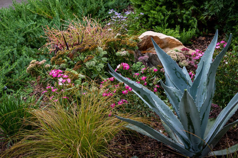 Specialty Garden Planting