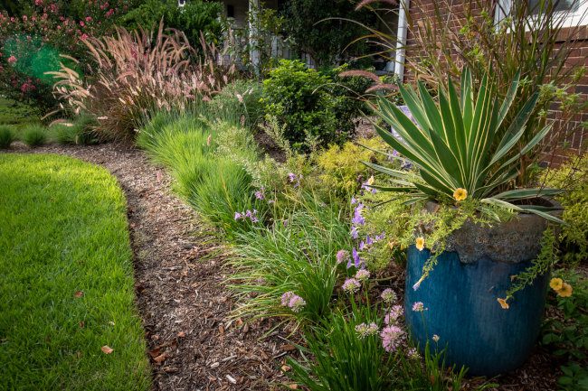 Pollinator Garden Landscaping