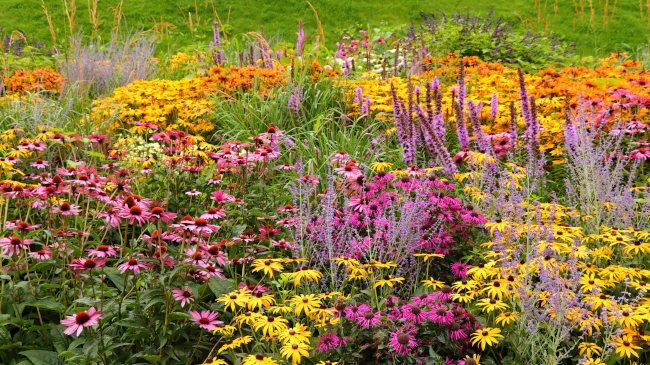 Wildflower Landscaping